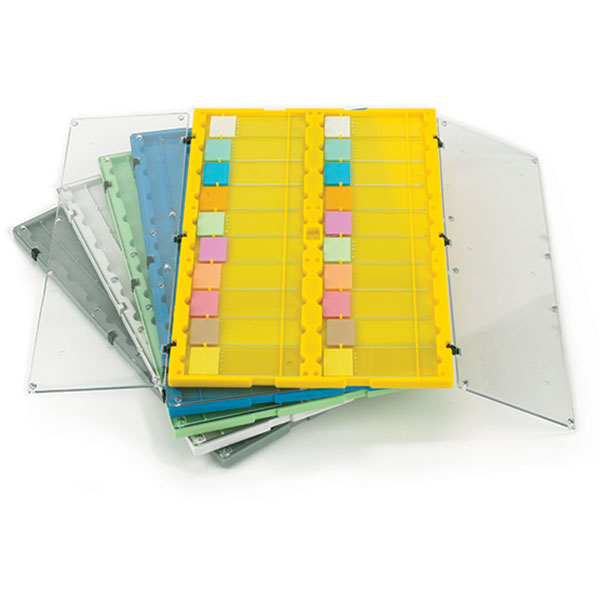 Globe Scientific Slide File Folder with Clear Hinged Lids, 20-Place, HIPS/SAN, Blue, 12/Unit Image